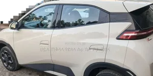 BYD Seagull 2025 Pink