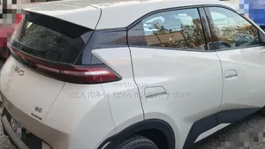 BYD Seagull 2025 Pink