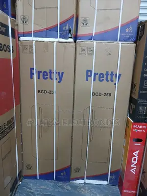 Pretty Refrigerator 250l Fast Cooling