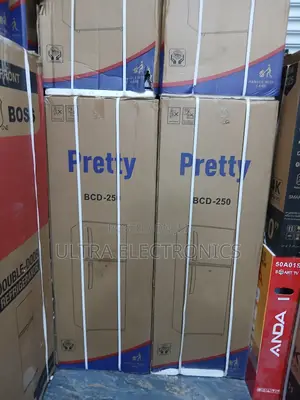 Pretty Refrigerator 250l Fast Cooling