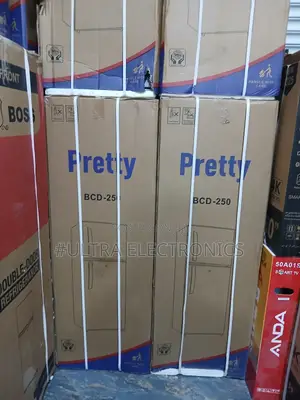Pretty Refrigerator 250l Fast Cooling