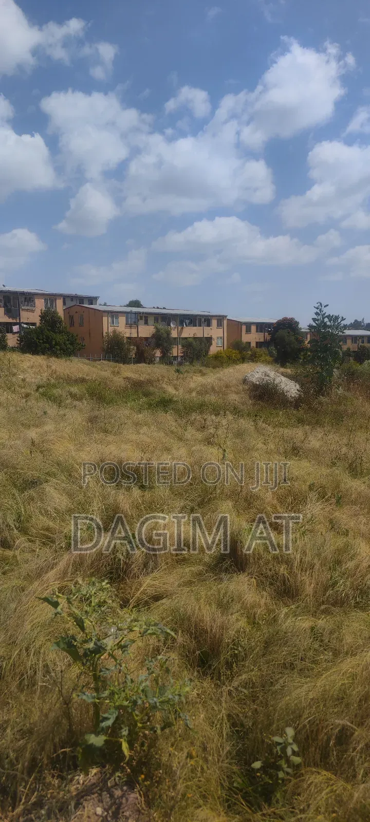 የሚሸጥ 218ካሬ ሜትር