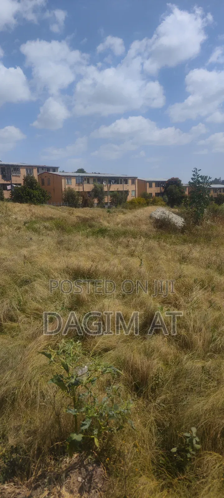 የሚሸጥ 218ካሬ ሜትር