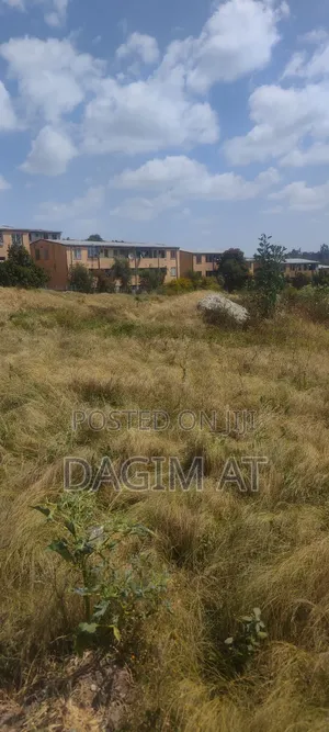 የሚሸጥ 218ካሬ ሜትር