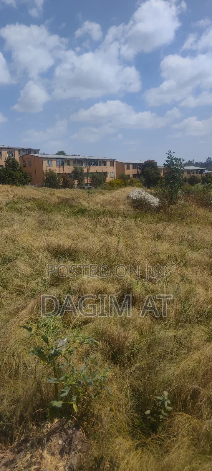 የሚሸጥ 218ካሬ ሜትር