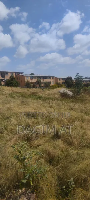 የሚሸጥ 218ካሬ ሜትር