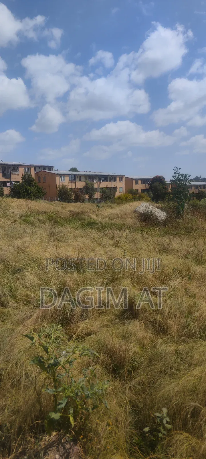 የሚሸጥ 218ካሬ ሜትር