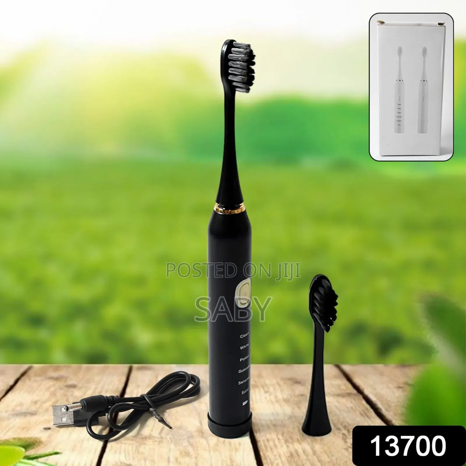 Adult Waterproof Electric Toothbrush  