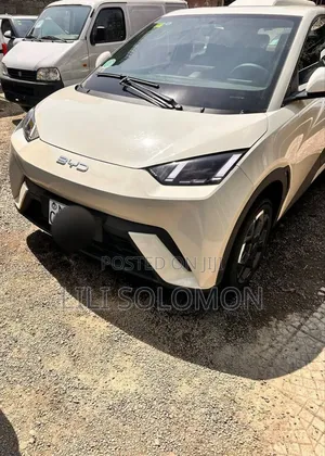 BYD Seagull 2025 Ivory