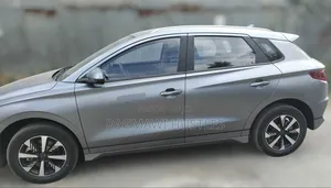 BYD E2 43 kWh 94 hp FWD 2024 Gray