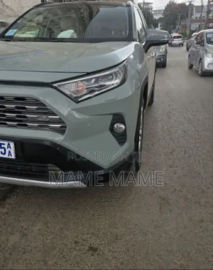 Toyota RAV4 2021 Gray
