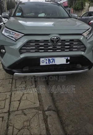 Toyota RAV4 2021 Gray