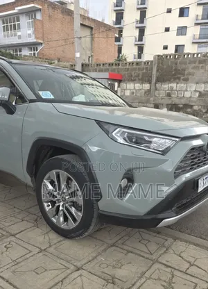 Toyota RAV4 2021 Gray