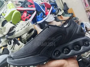 This Is a Nike Air Max Dn Shoe in Ablack Colorway