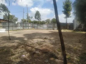 ባዶ መሬት ጣፎ አባኪሮስ