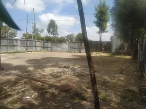 ባዶ መሬት ጣፎ አባኪሮስ