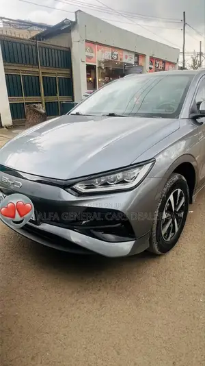 BYD E2 43 kWh 94 hp FWD 2024 Silver