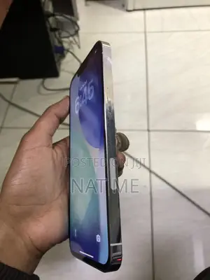 Apple iPhone 13 Pro Max 256 GB White