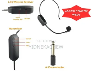 Photo - Wireless Microphone