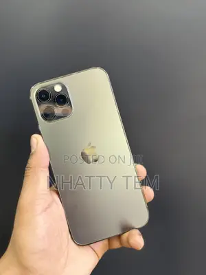 Apple iPhone 12 Pro 256 GB Gray