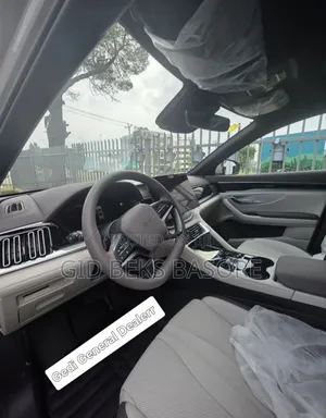 BYD Song Plus 2025 Gray