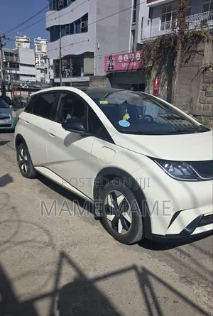 New BYD Seagull 2024 Yellow