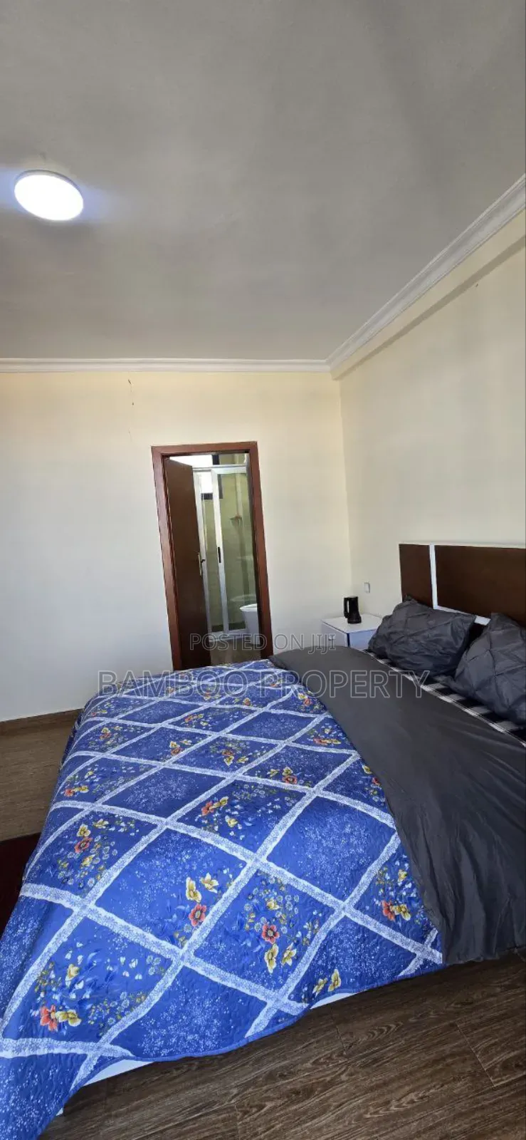 Furnished 2bdrm Apartment in Bole for rent