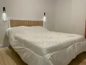 Furnished 2bdrm Apartment in Luxury Fernished, Bole for rent