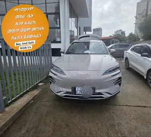 Photo - New BYD Song Plus 2025 Beige