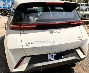 New BYD Seagull 2025 Silver