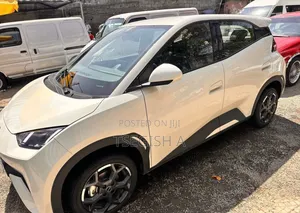 Photo - New BYD Seagull 2025 Silver