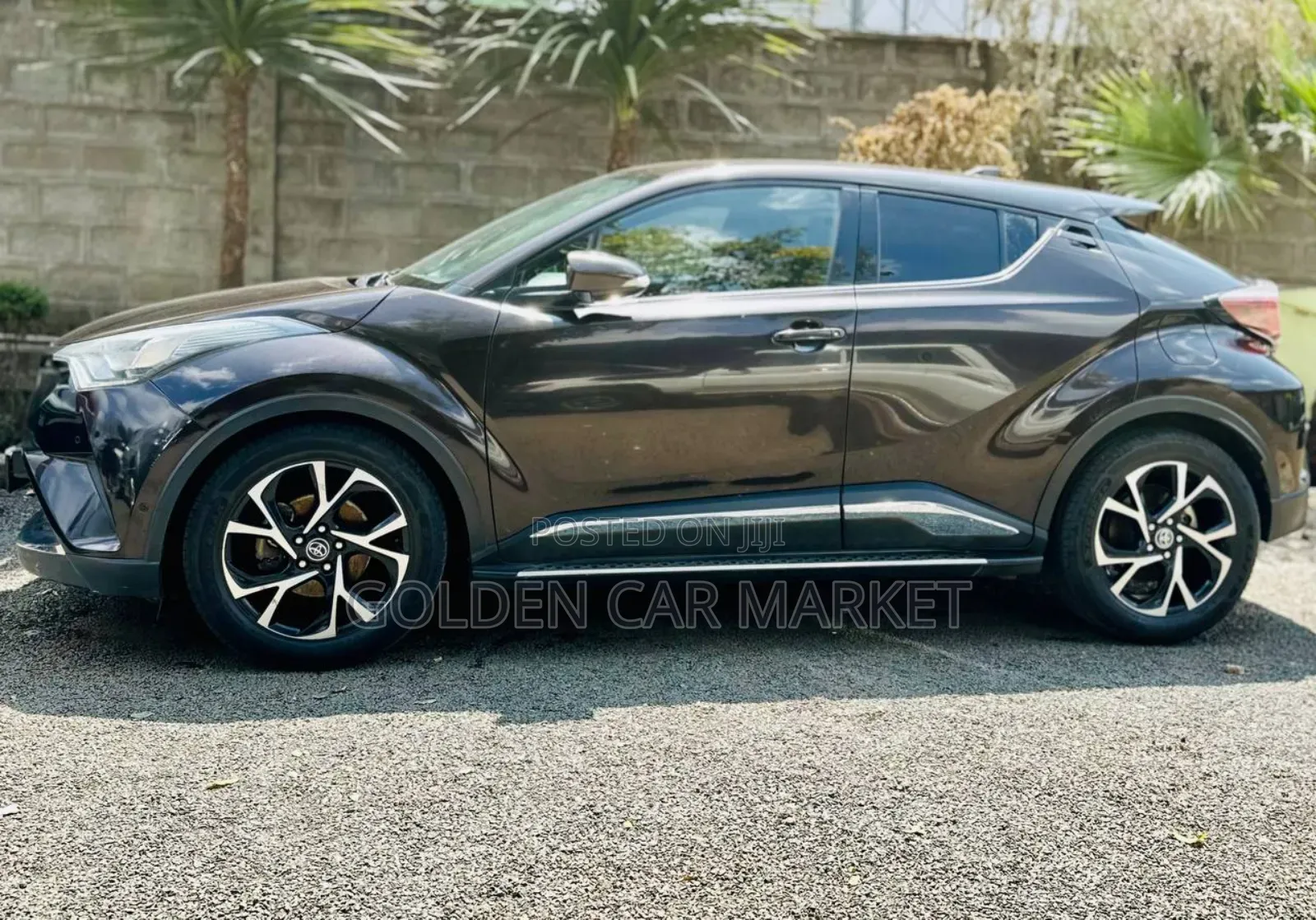 Toyota C-HR 2020 Brown