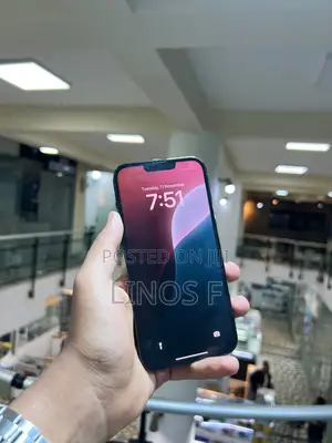 Apple iPhone 13 Pro Max 256 GB Green