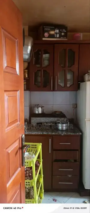 Furnished 1bdrm Condo in አራብሳ ነባሩ, Yeka for sale