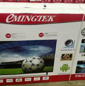 Emingtek 55 Inch Android 14 Frameless Screen Bult in Stablizer Buil