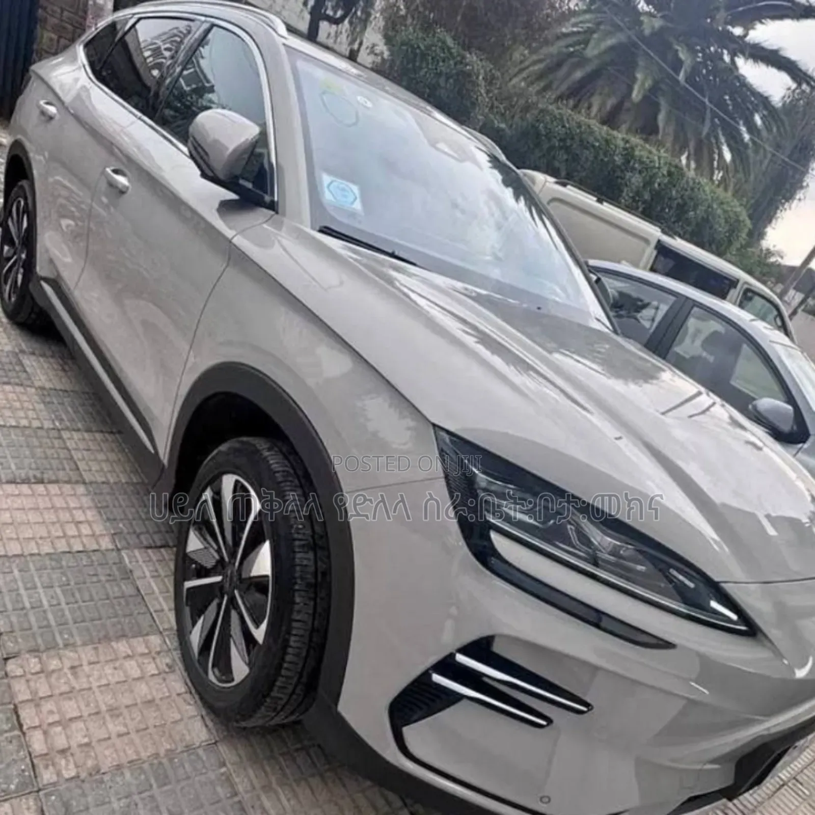 BYD Song Plus 2025 Ivory