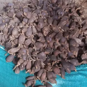 Photo - ደረቅ የቦንጋ ኮረሪማ