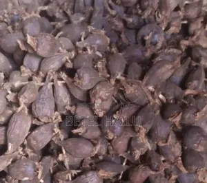 ደረቅ የቦንጋ ኮረሪማ