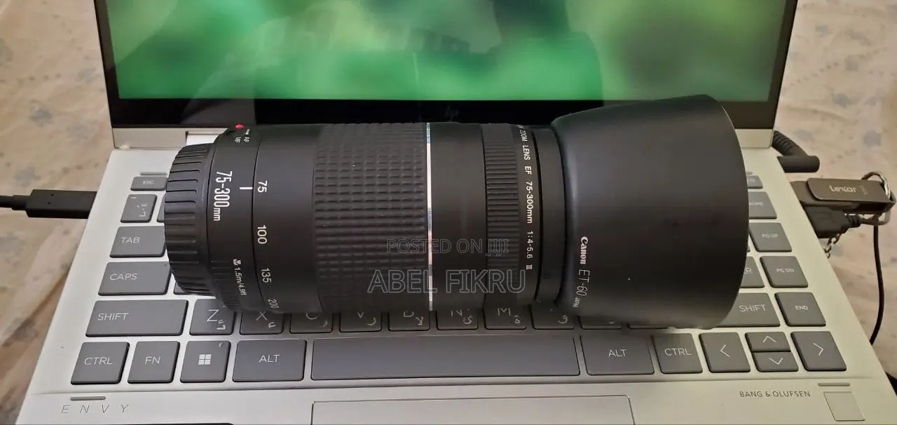 Canon 75-300 ( Zoom Lens )