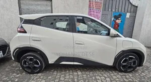 BYD Seagull 2024 White