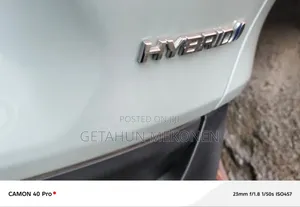 New Toyota RAV4 2023 Green