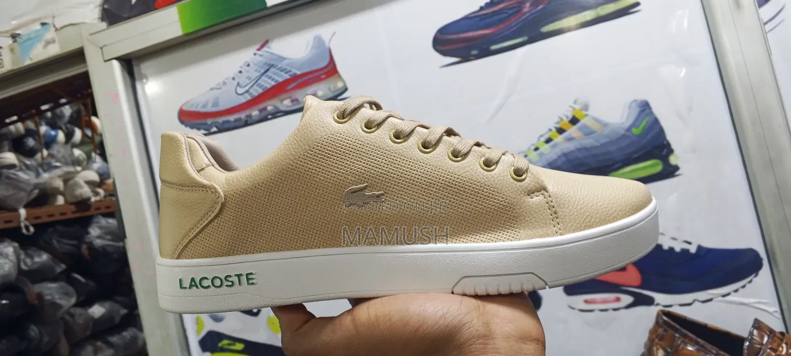 This Is Apair Lacoste Snicers in Beige /Tan Color