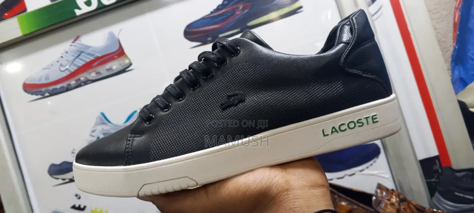 This Is Apair Lacoste Snicers in Beige /Tan Color