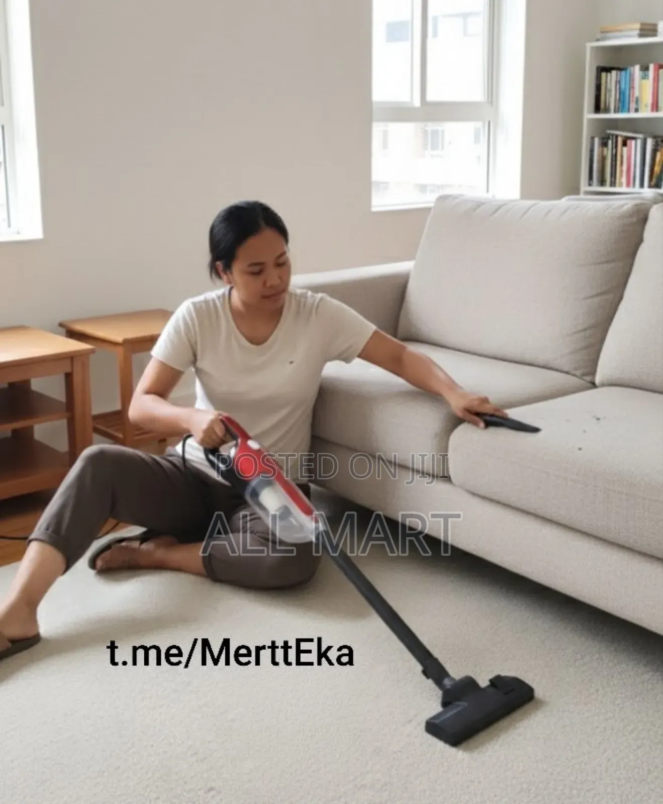 Sonifer Handy Vacuum Cleaner