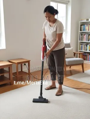 Sonifer Handy Vacuum Cleaner