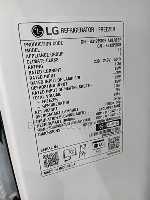 Lg 315l Refrigerator — Elegant Black, Powerful Cooling!