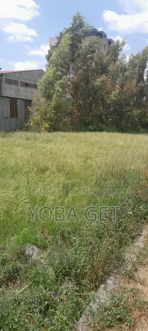 አስቸካይ የሚሸጥ የጨረታ ቦታ