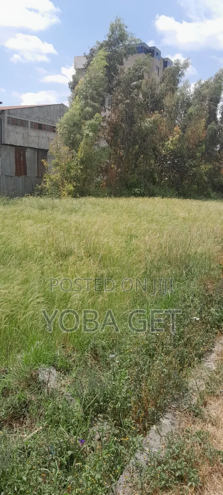 አስቸካይ የሚሸጥ የጨረታ ቦታ