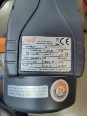 High Quality Leo Water Pump 1hp Europe Standard Surface Pump