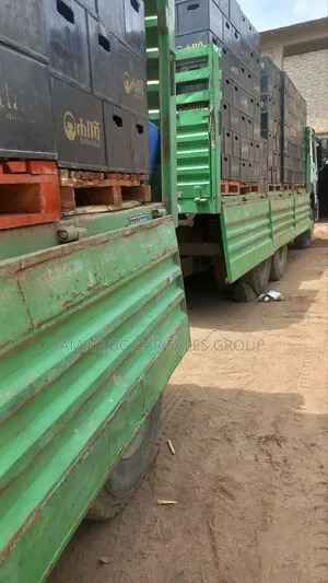 Cacion 2020. Kena Tesabi